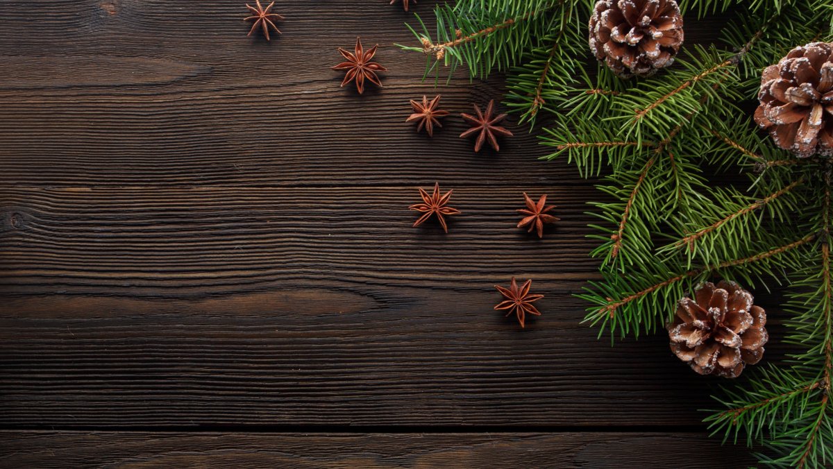 Фотофон еловые ветки