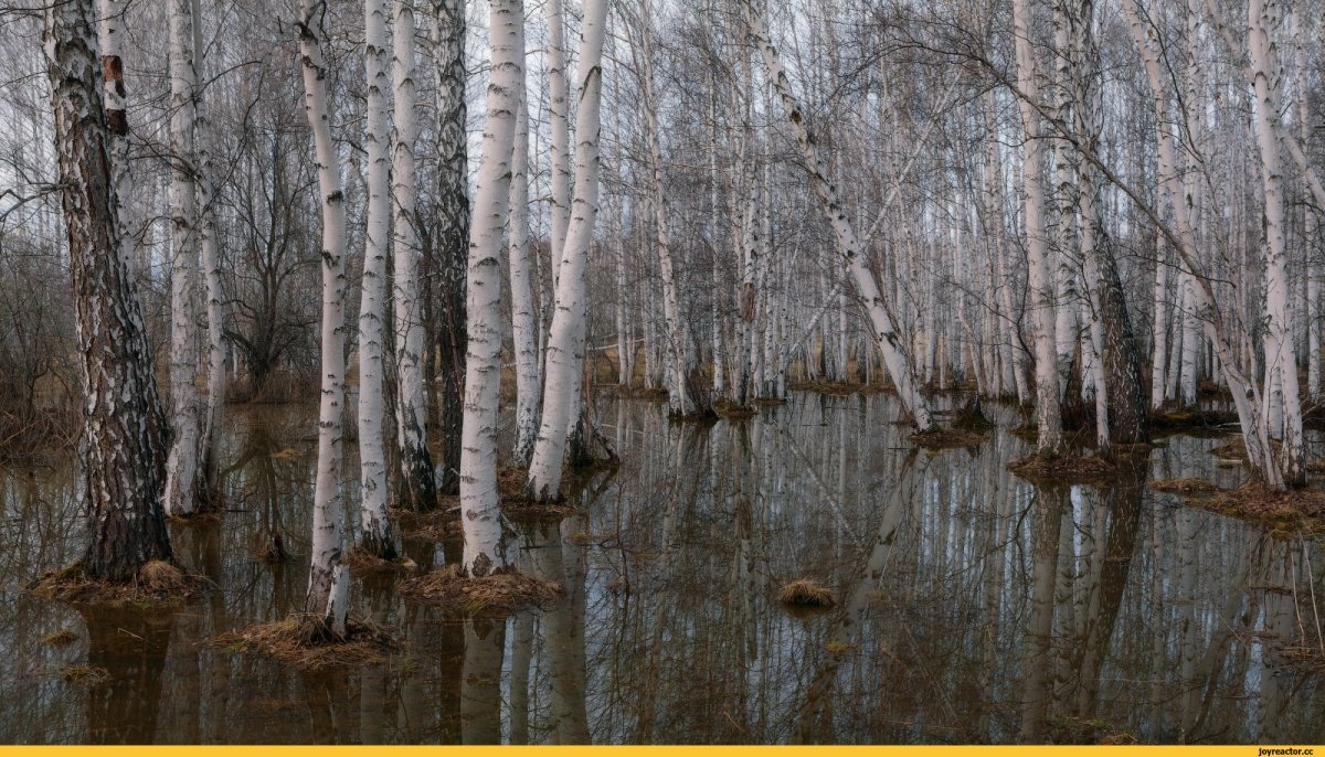 Ранняя Весна