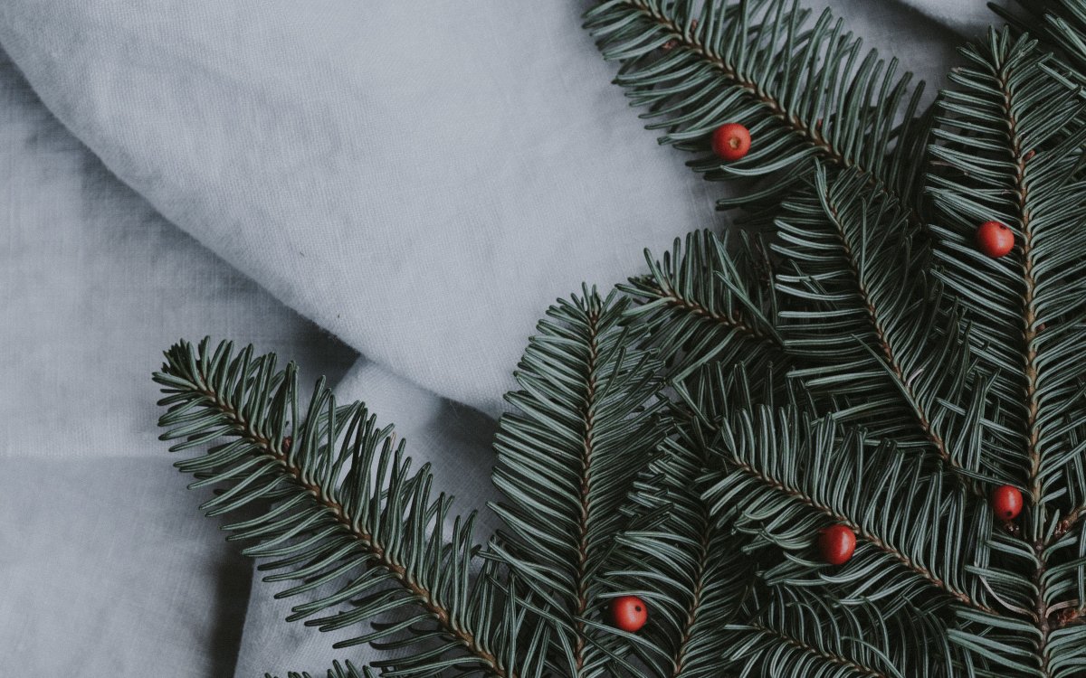 Ветки новогодние ель Эстетика