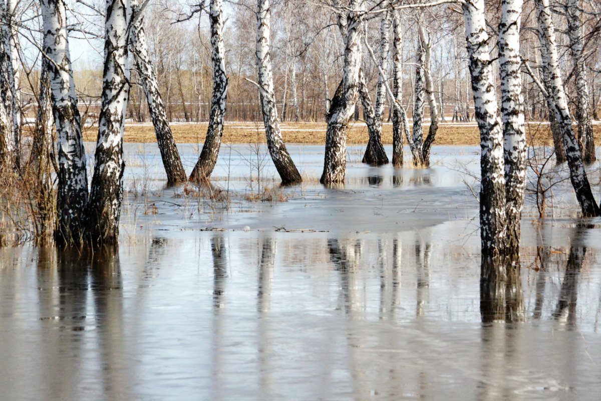 Весенний ледоход на реке
