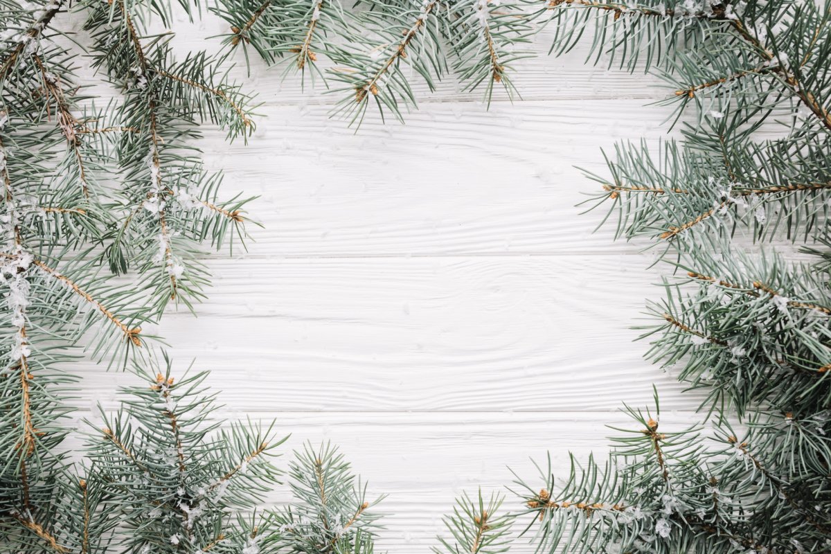 Еловые ветки фон