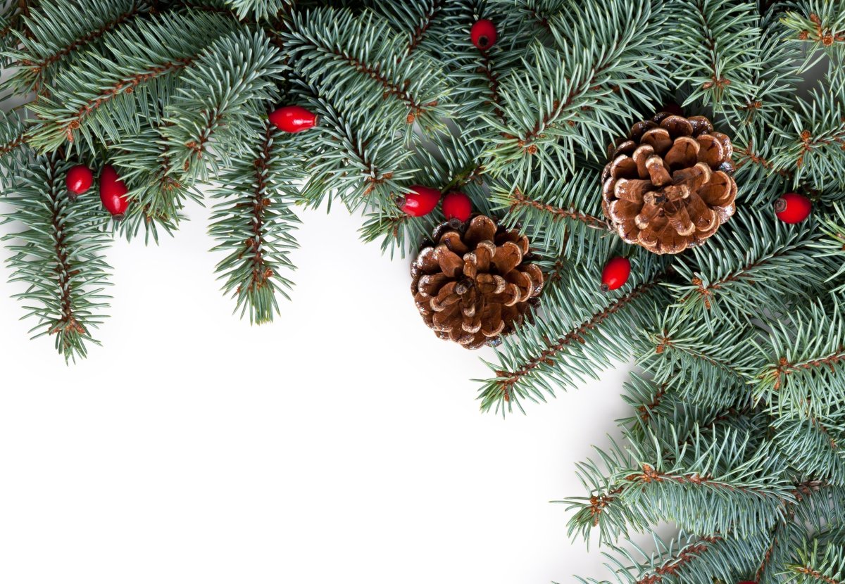 Ветка ели с игрушками