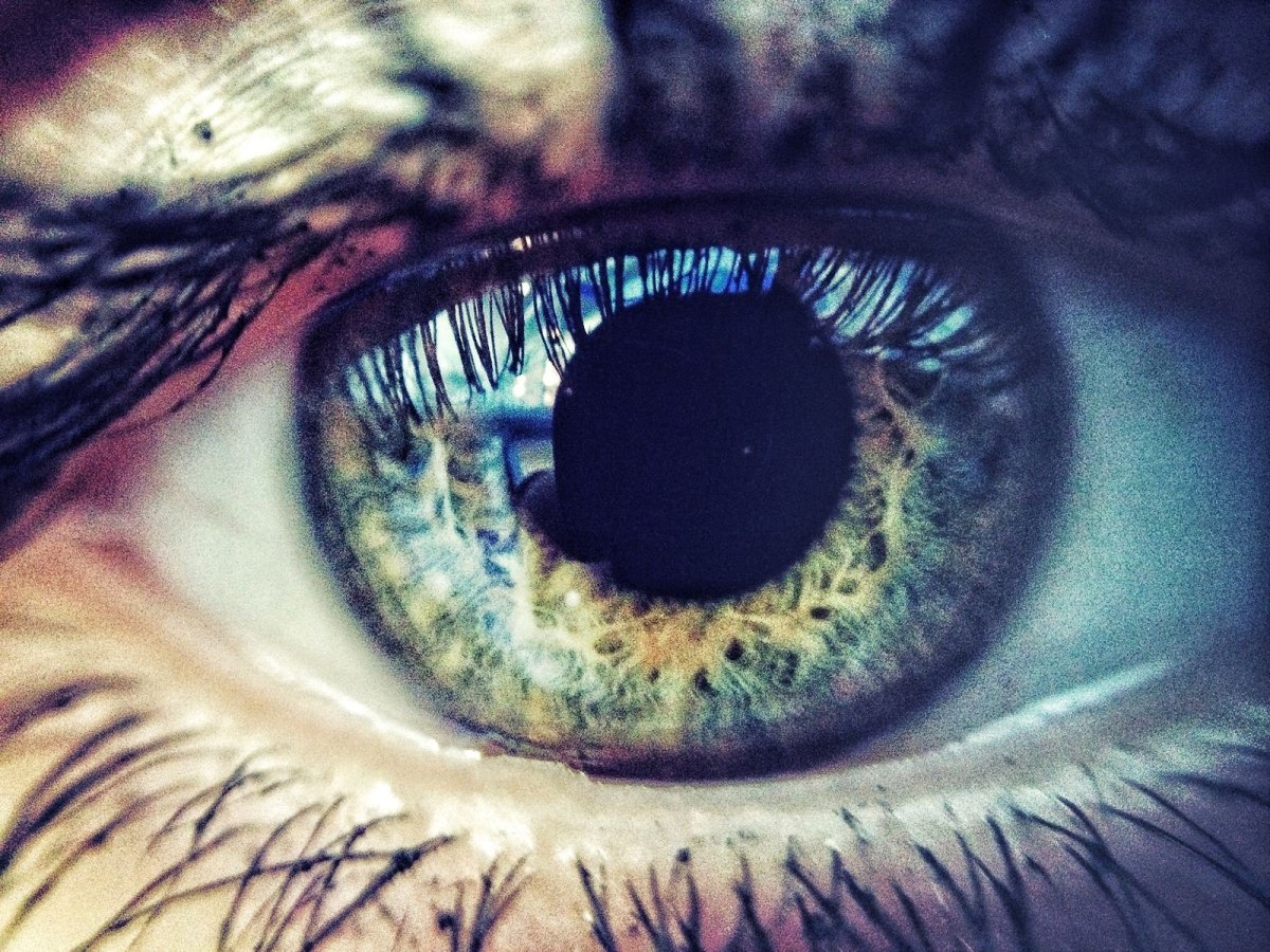 Глаз человека