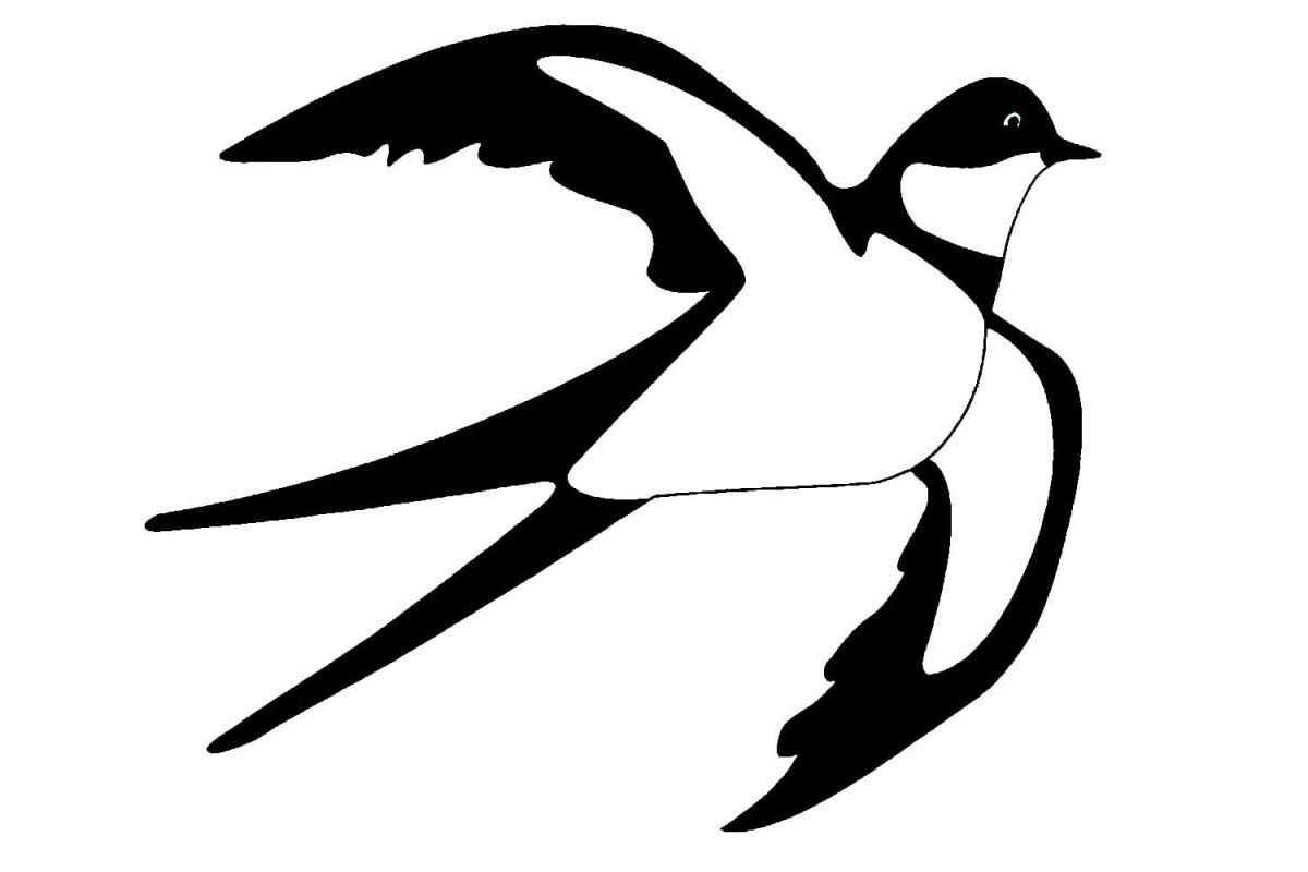 Маленькие птицы d GJKTT раскраска