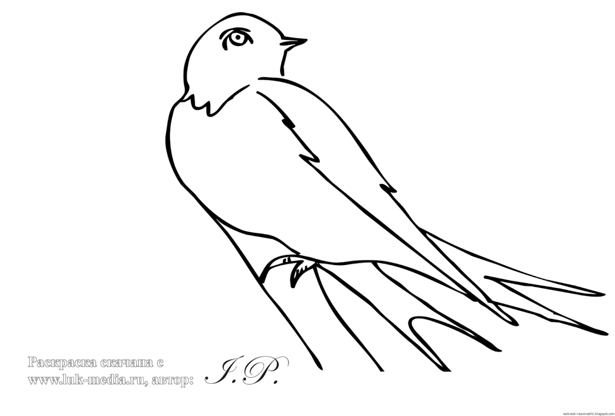 Ласточка рисунок для детей