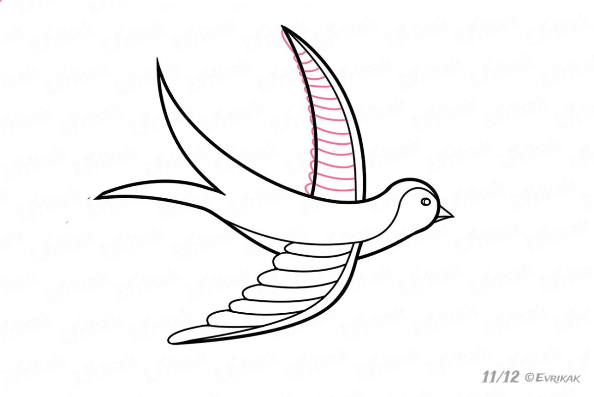 Ласточка картинка раскраска