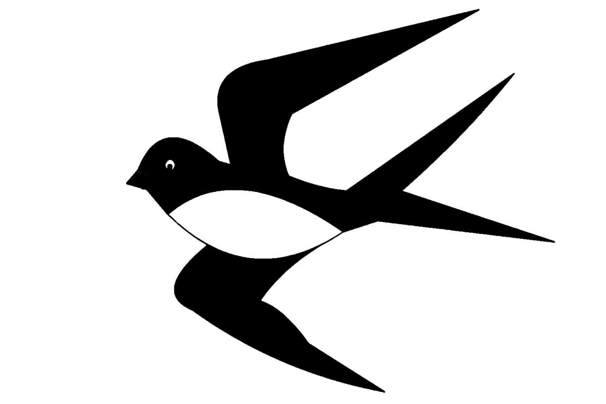Силуэт маленькой ласточки в полете