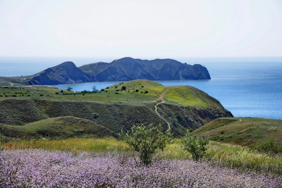 Мыс Меньшикова Сахалин