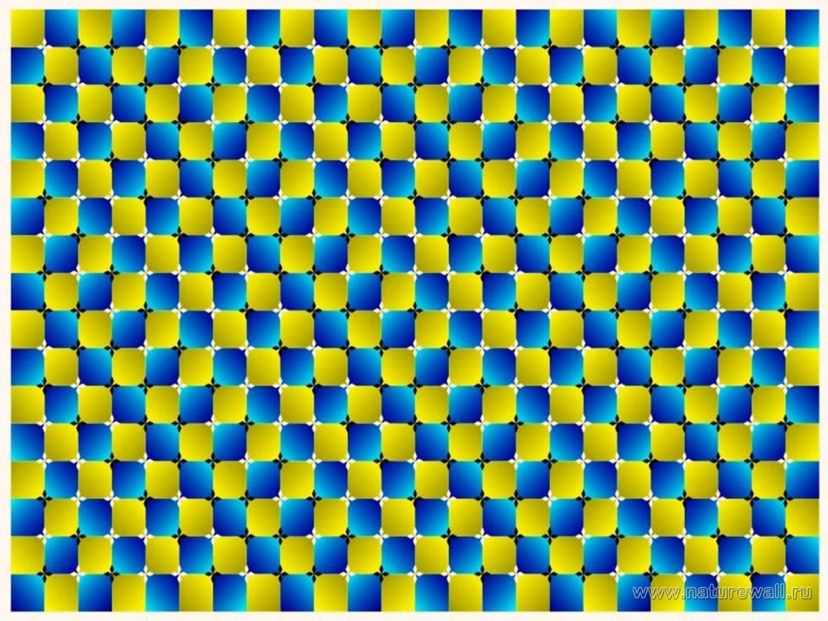 Иллюзия Райли (Bridget Riley)