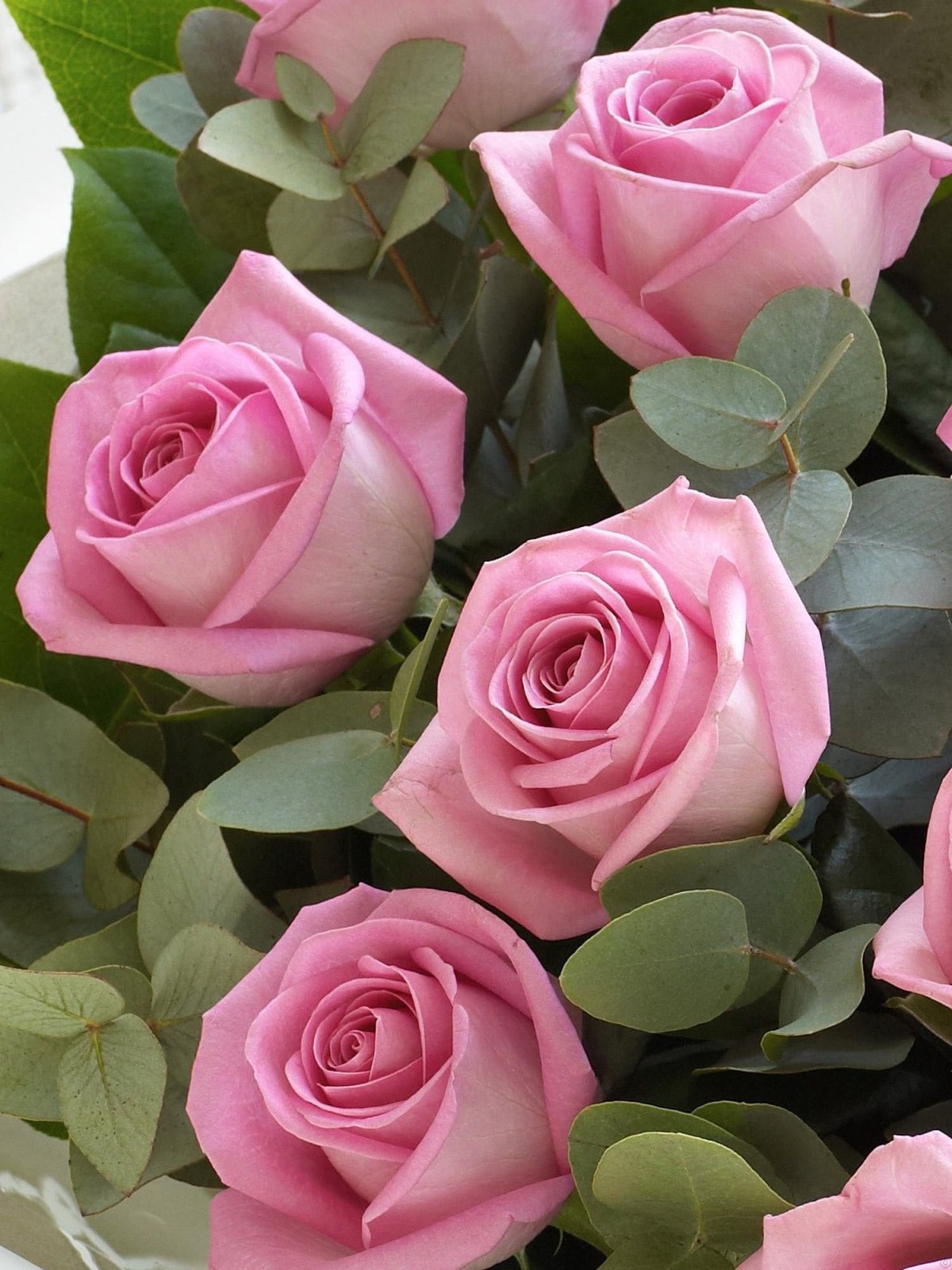 Красивый букет роз