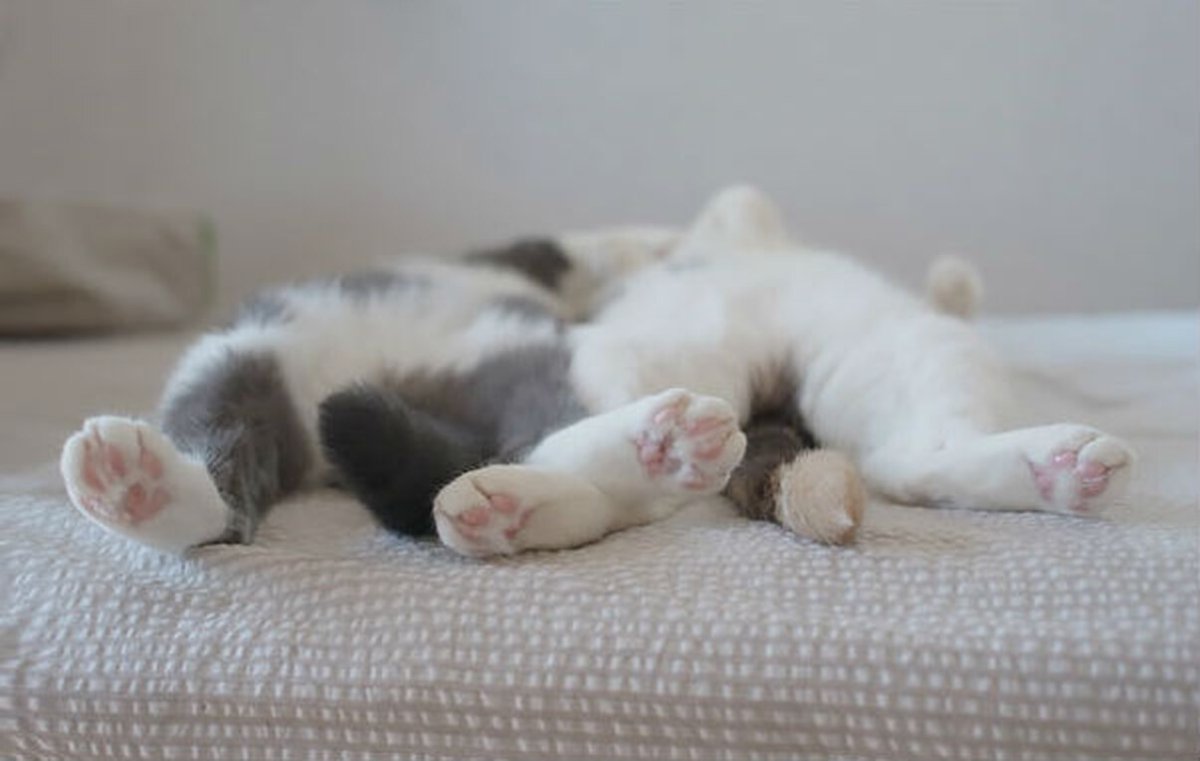 Пора вставать