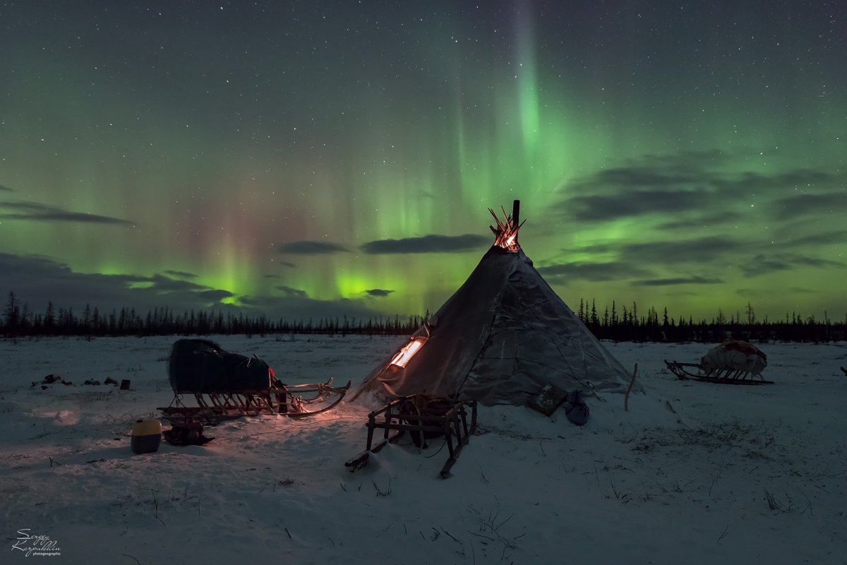 Лесотундра Ямала