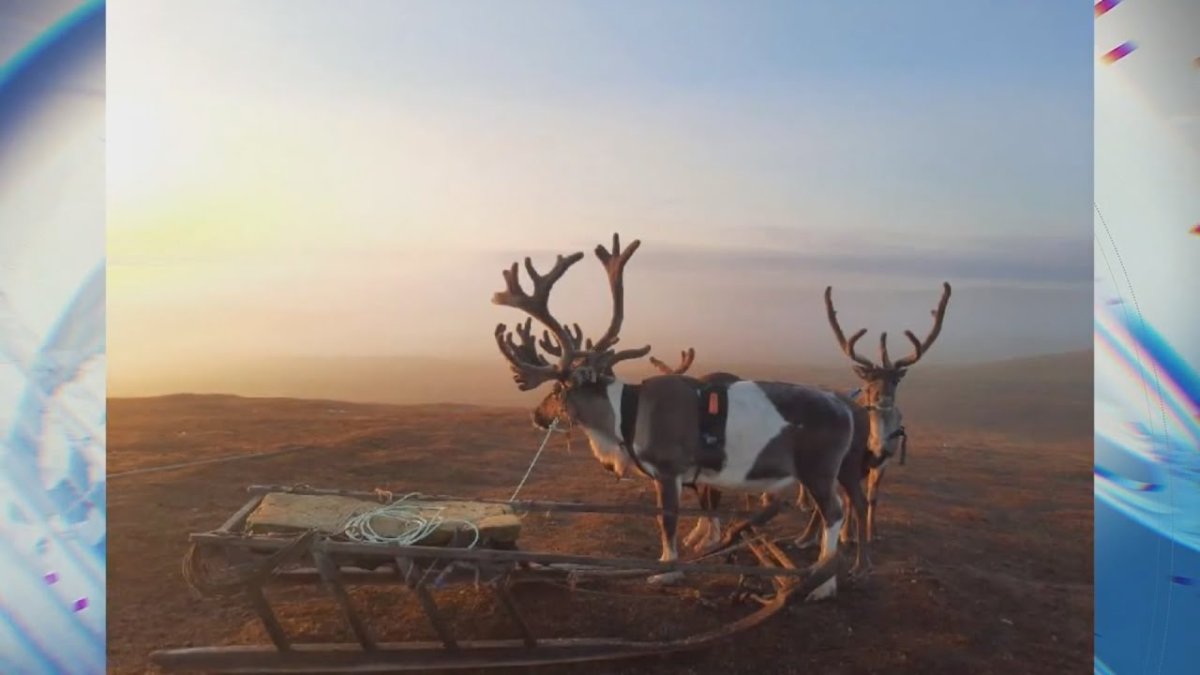 Красоты Ямала