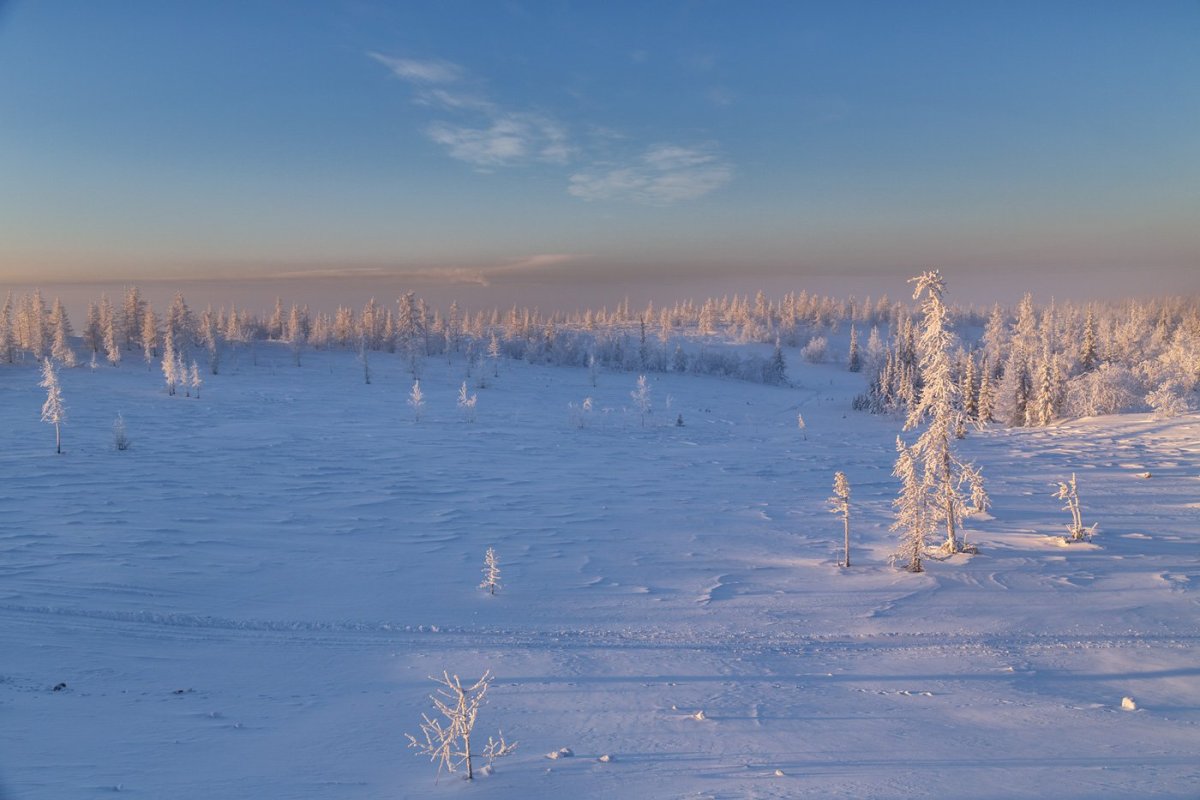 Гостеприимный Ямал