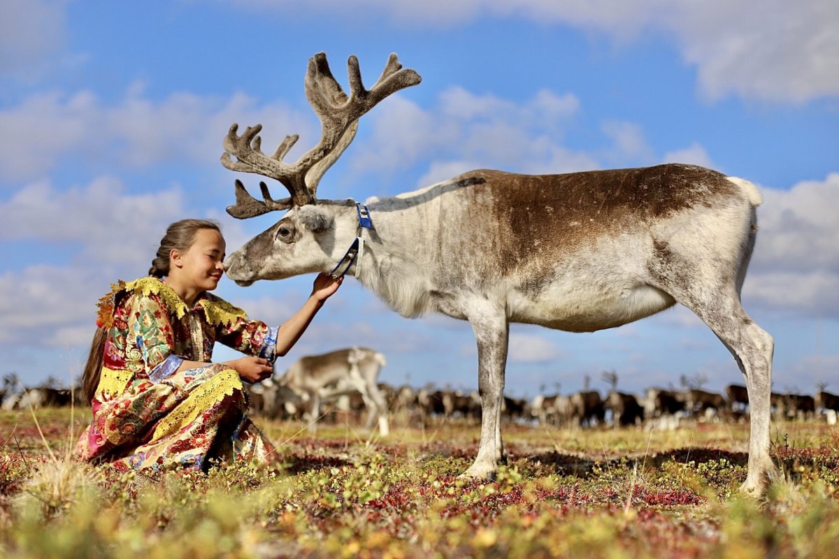 Ямало-Ненецкий автономный округ тундра