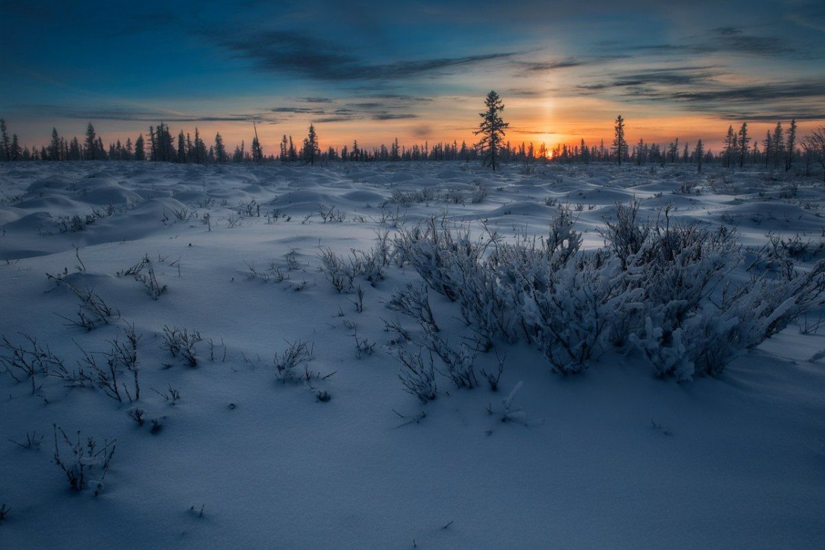 День оленевода на Ямале