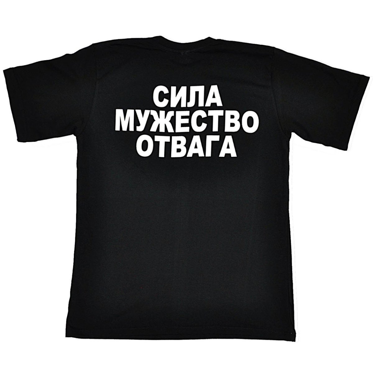 Высказывания о мужестве