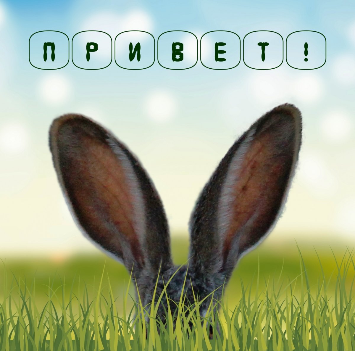 Бодрое утро