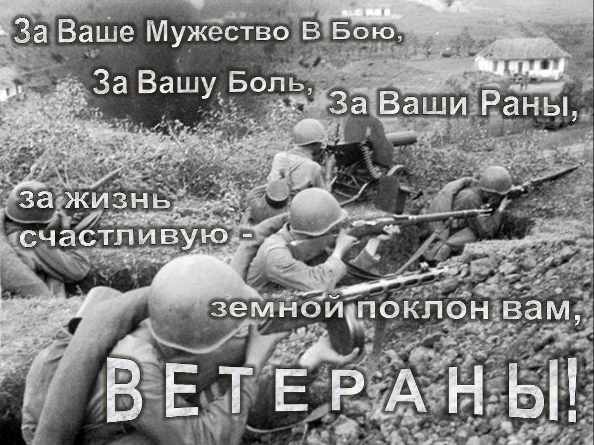 Город Суворов Тульская область аллея славы