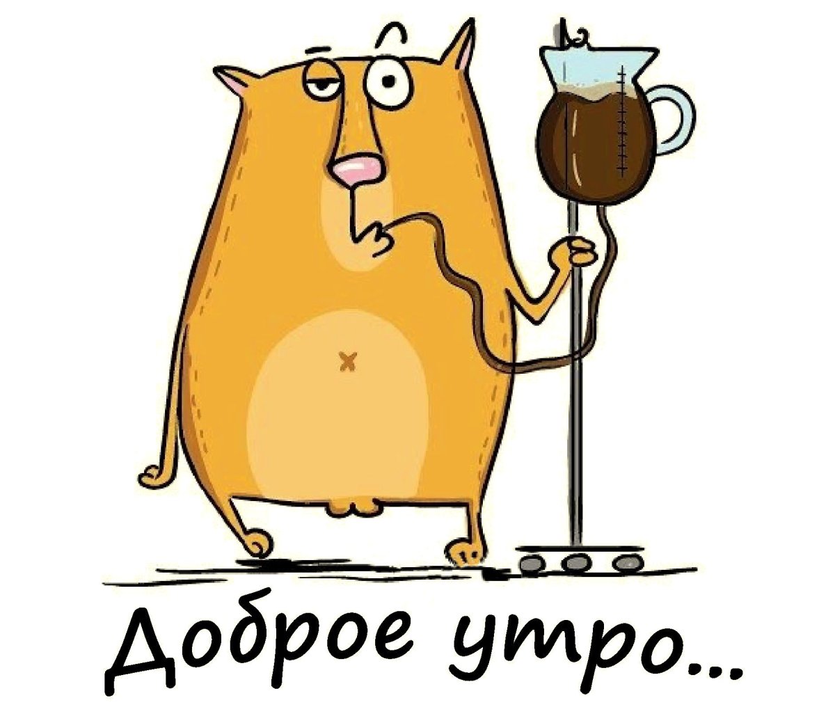 Доброе утро для инстаграмма сторис