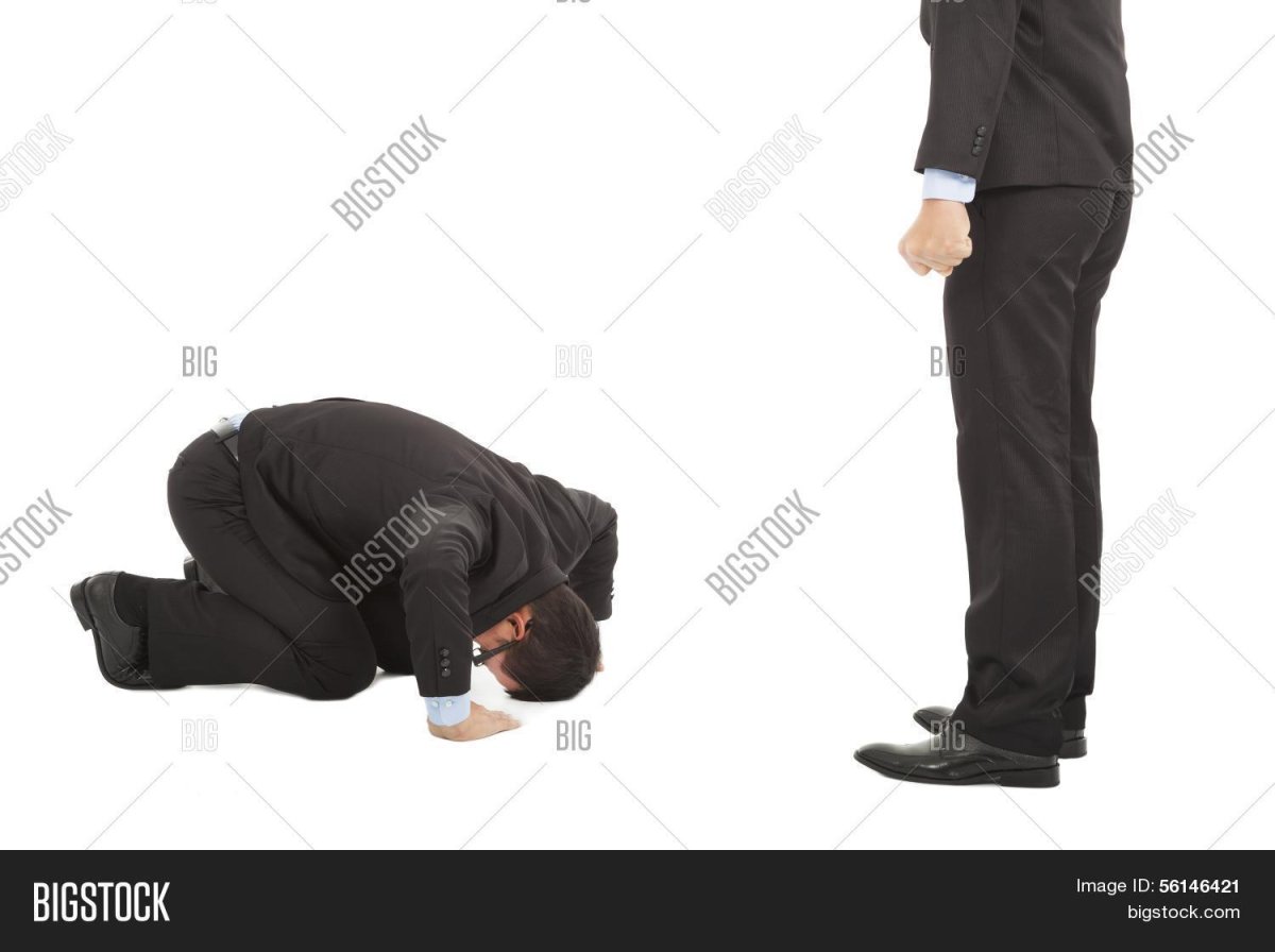 Реверанс Винсента