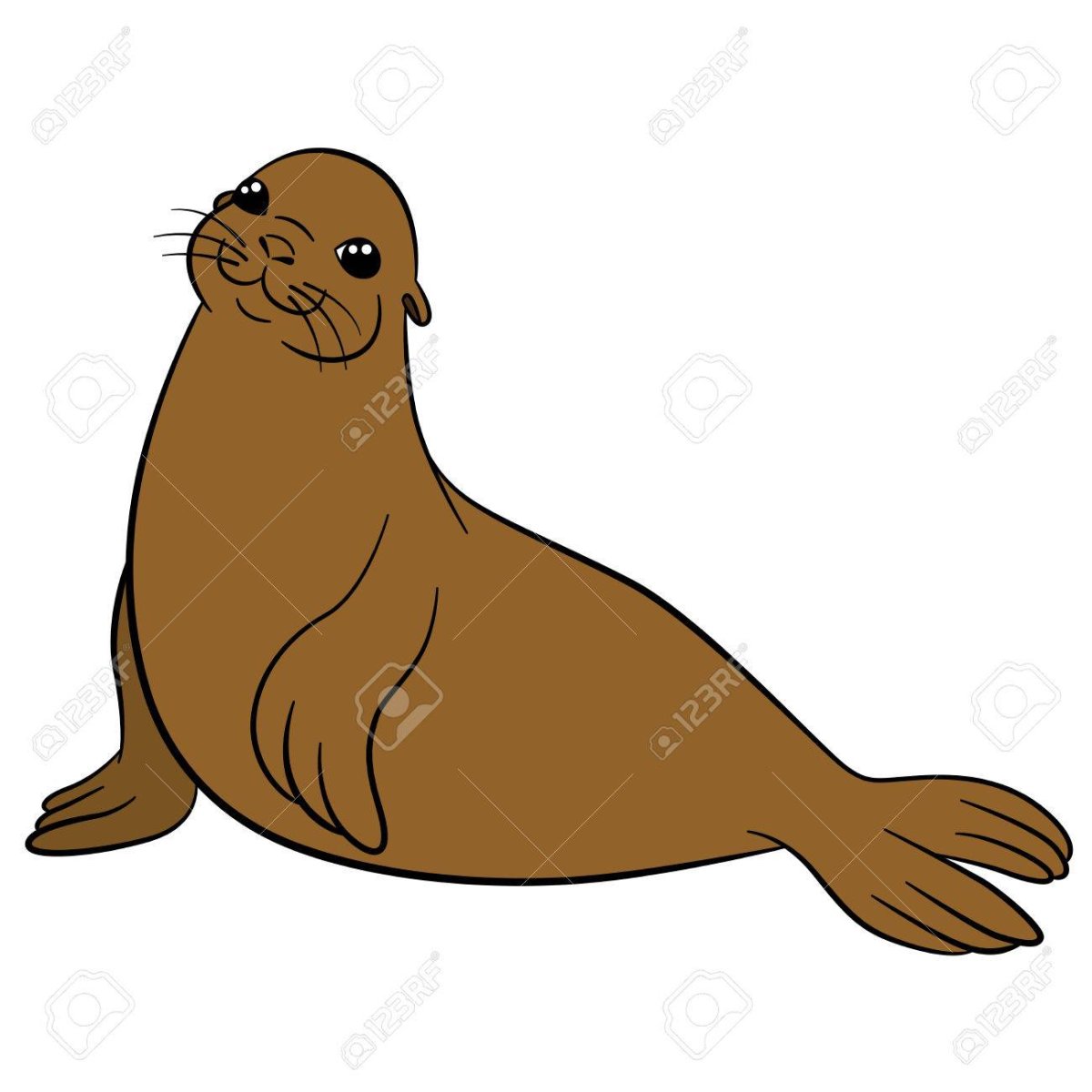 Морские котики мультяшные