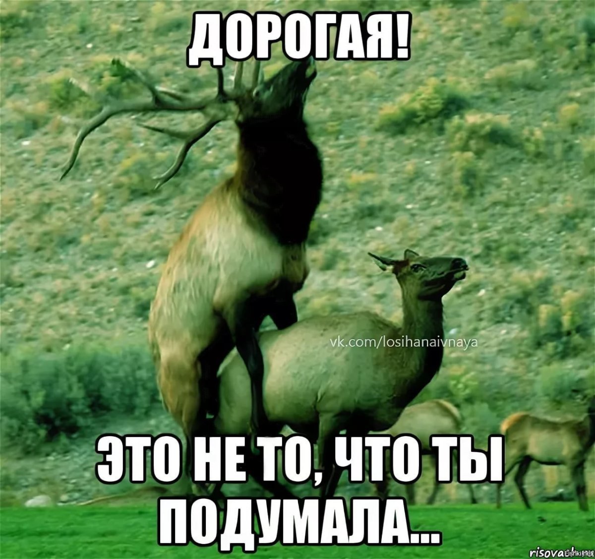 Успокойся уже