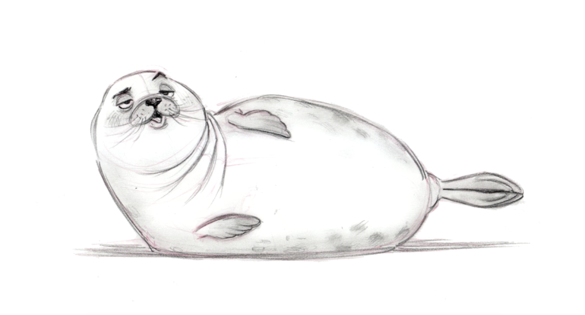 Арктическая кольчатая Нерпа