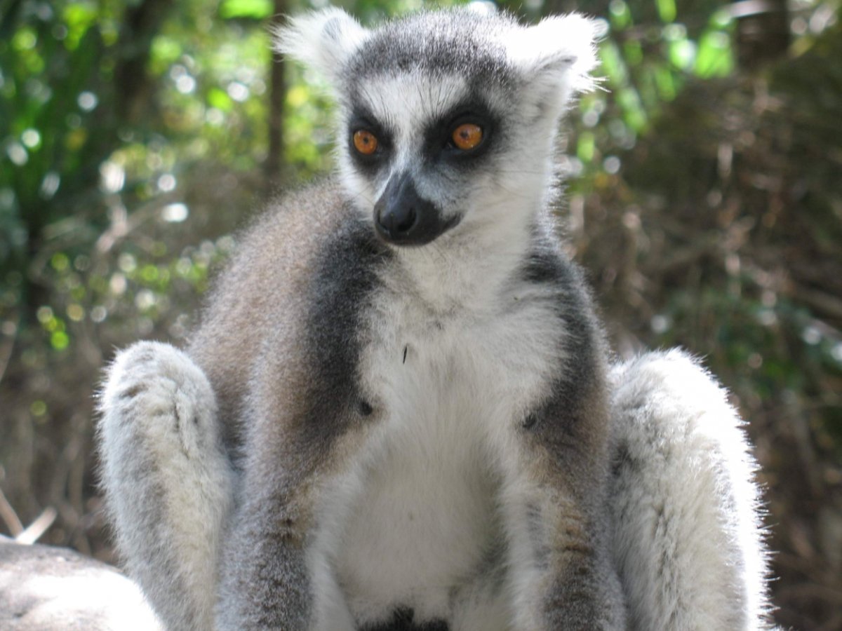 Успокойся Мем