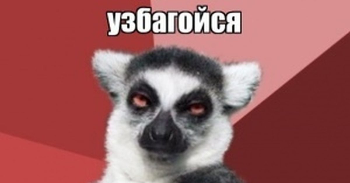 Лемур узбагойся