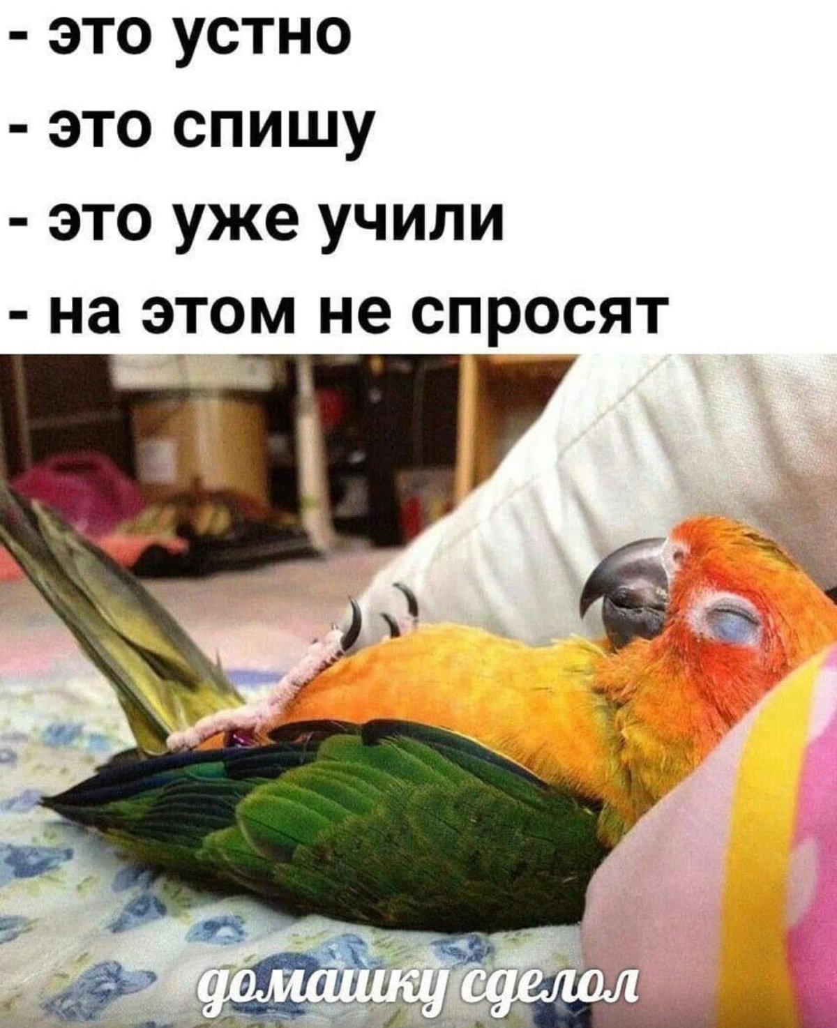 К поп мемы