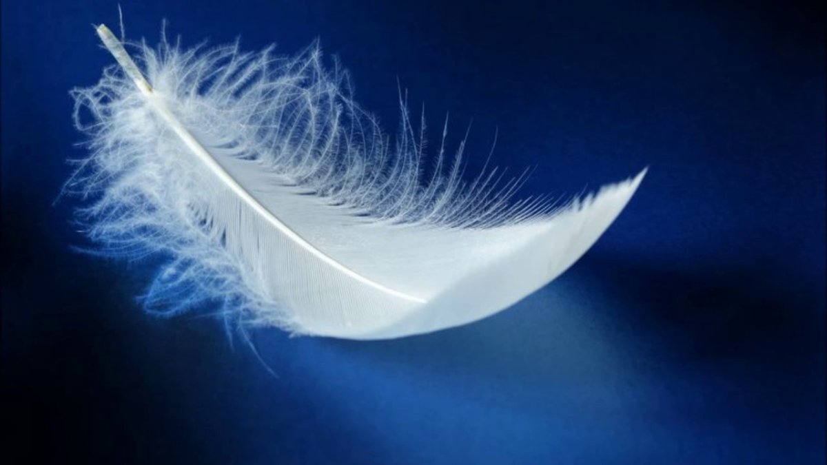 Ангельские перья