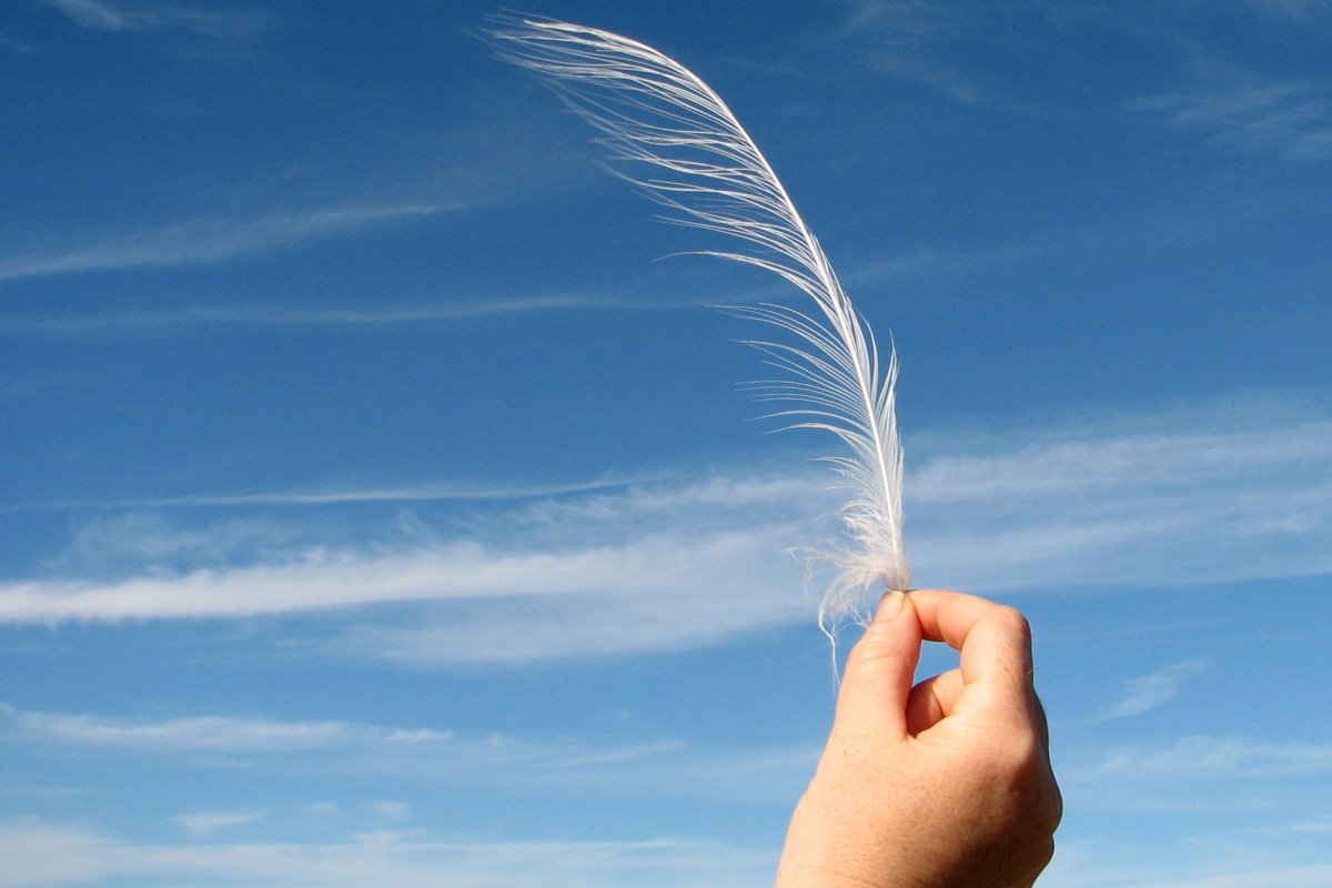 Перышко в руке