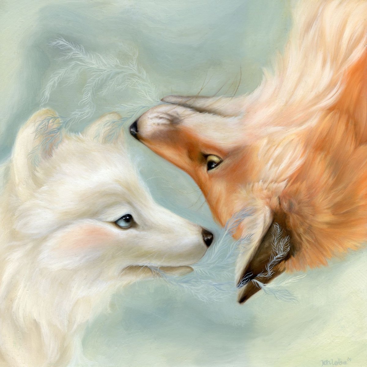 Лиса любовь