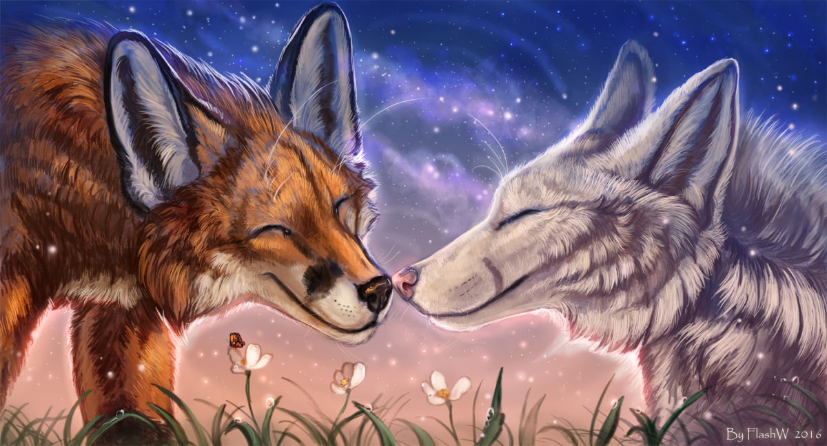 Волк и лисица красивый арт