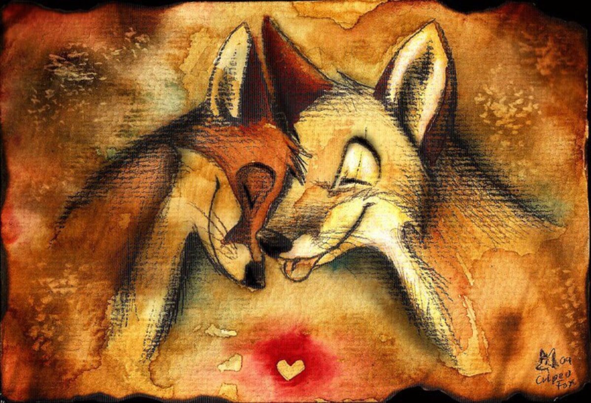 Карты с лисами Culpeo-Fox