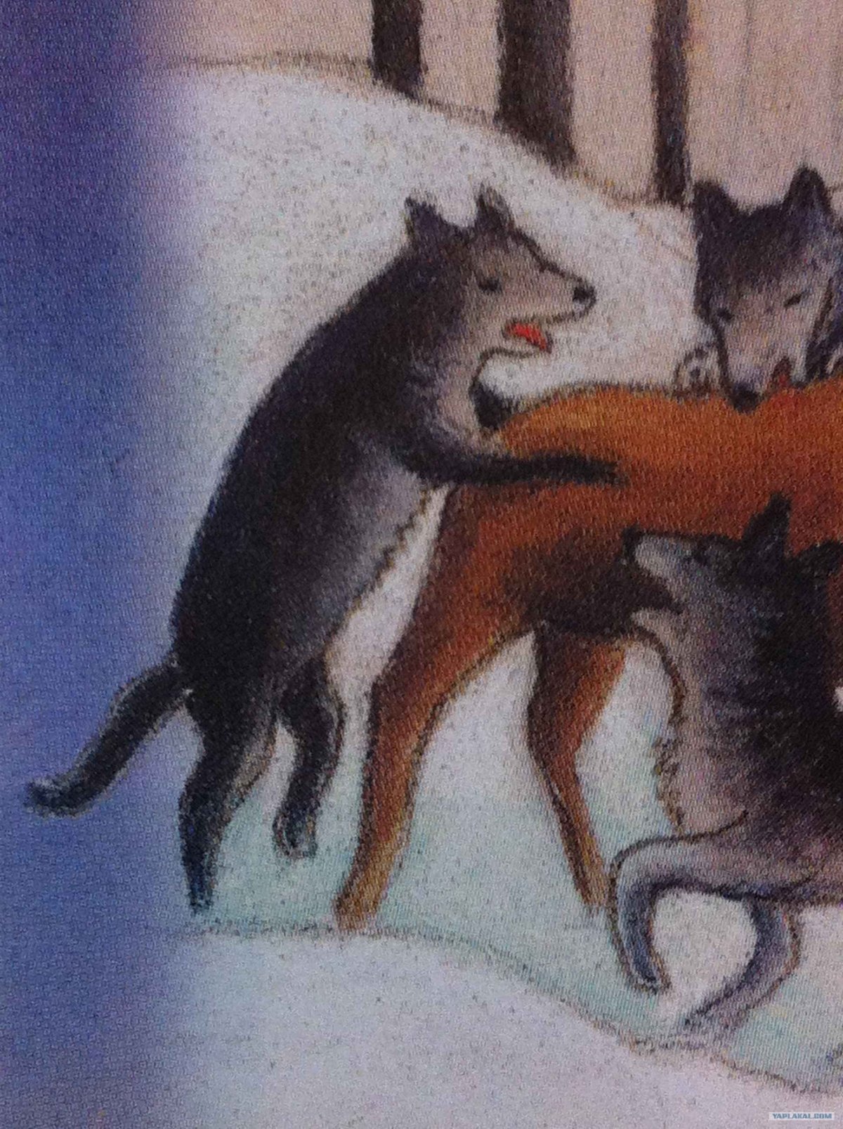 Волк лиса и кот