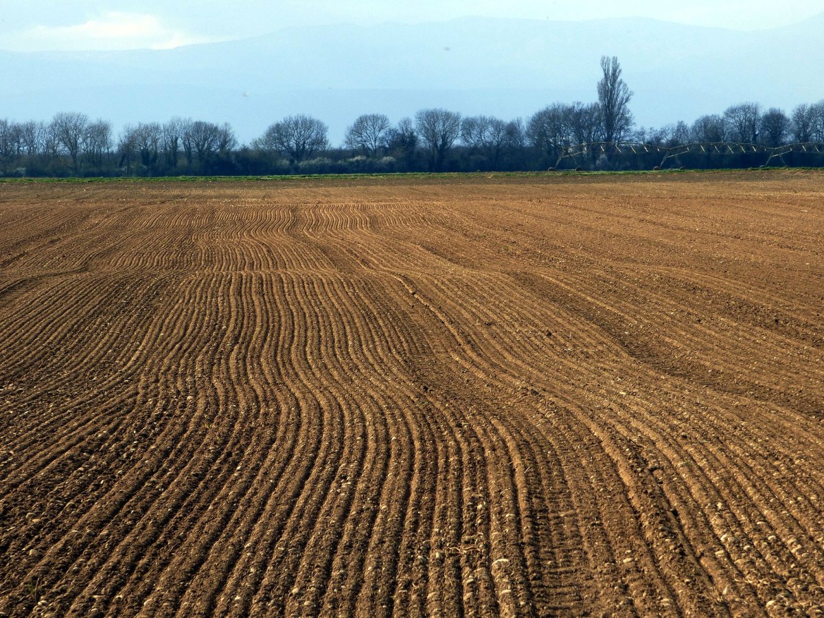 Борозда на поле