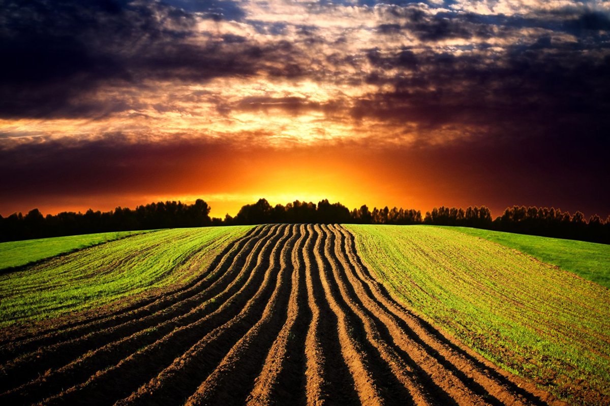 Земля пашня