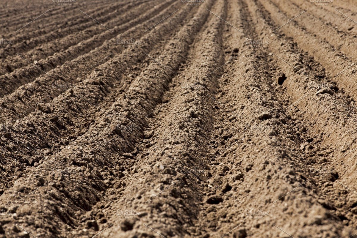 Бороздование почвы