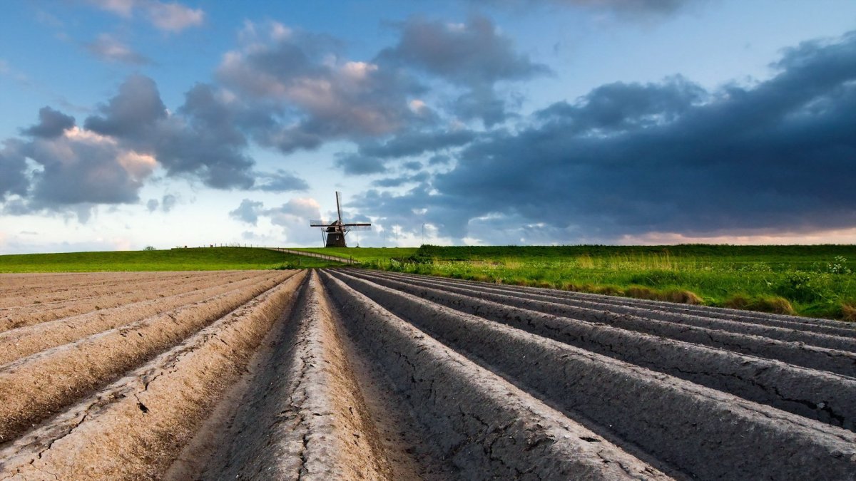 Паханное поле борозда