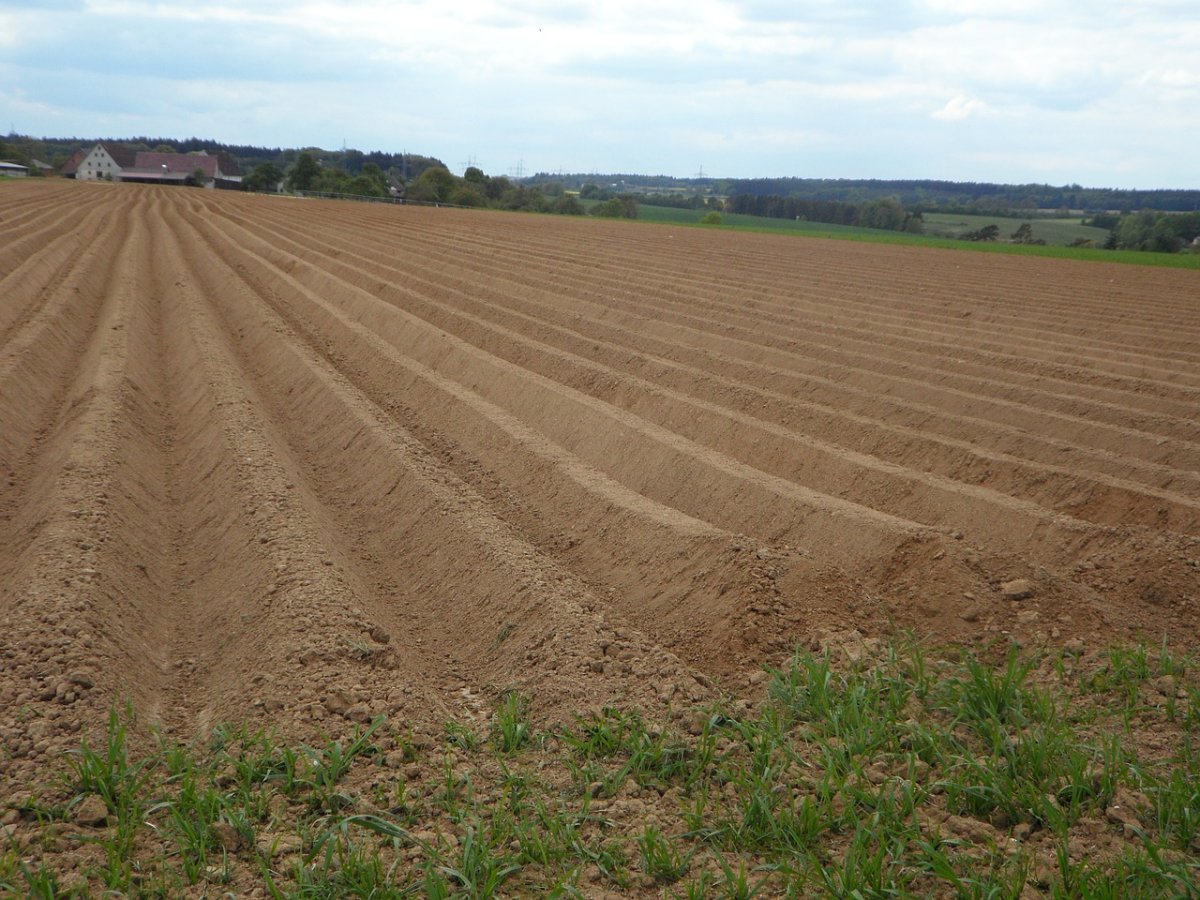 Культивация земли