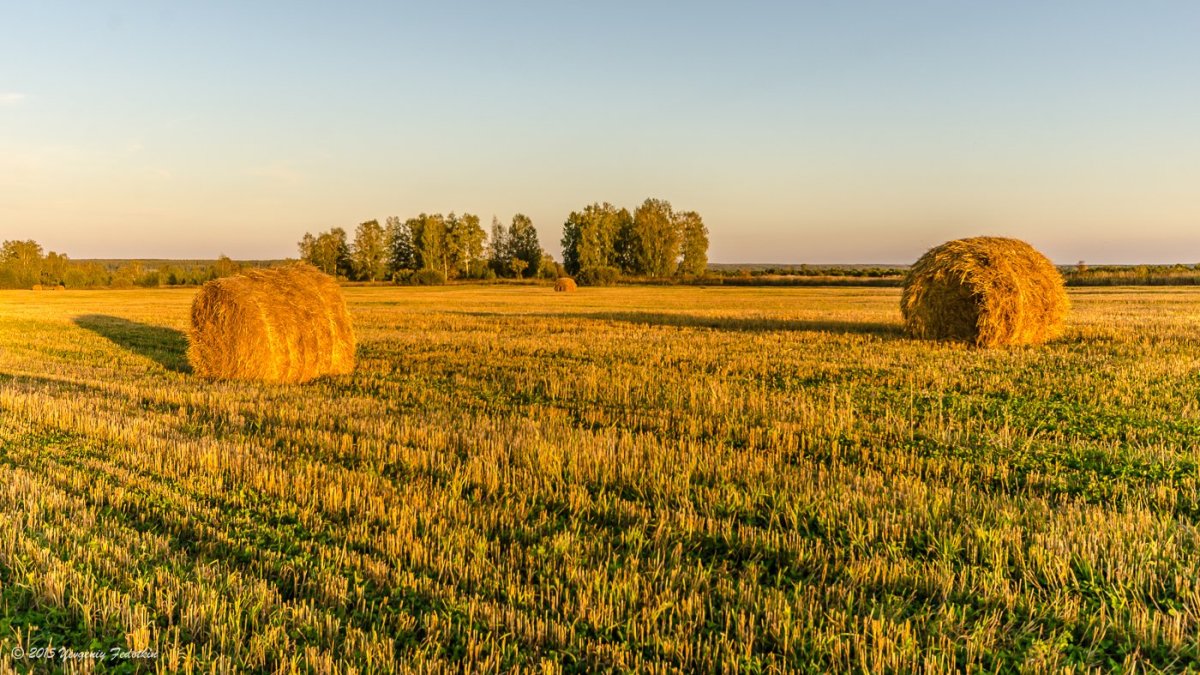 Хлебная Скирда