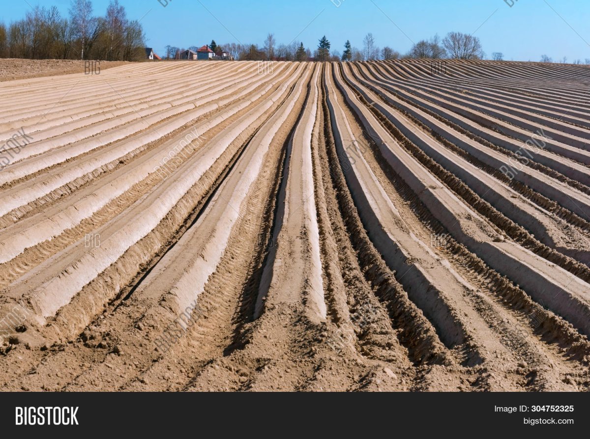 Сельскохозяйственная борозда