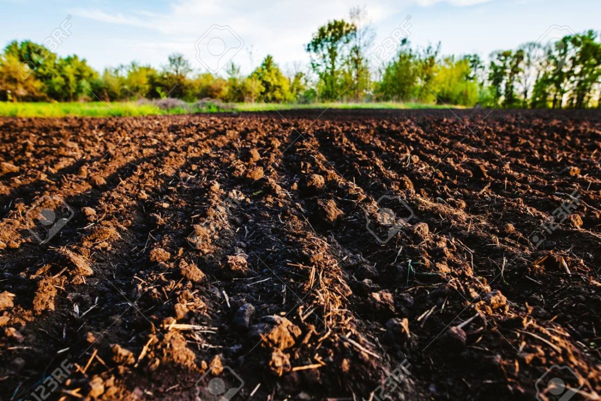 Огород пашня