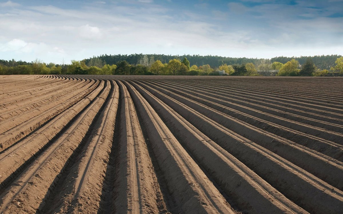Агрономическая мелиорация