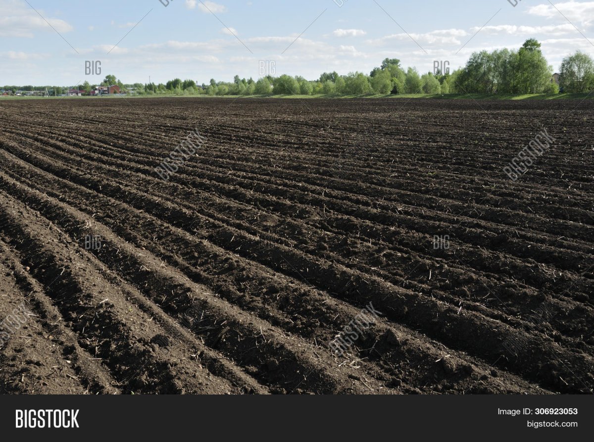 Soil field in perspective