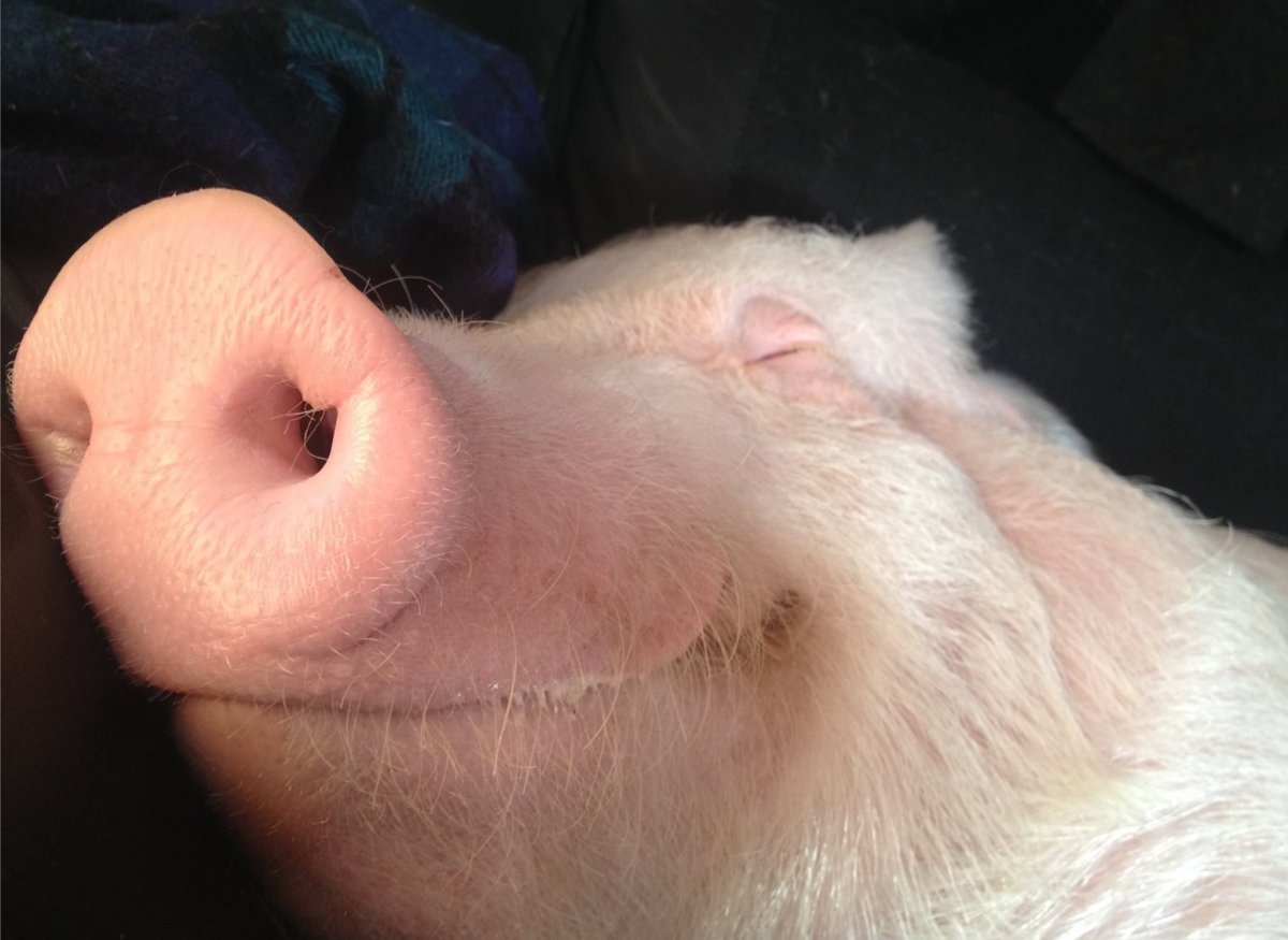 Отпуск картинки прикольные