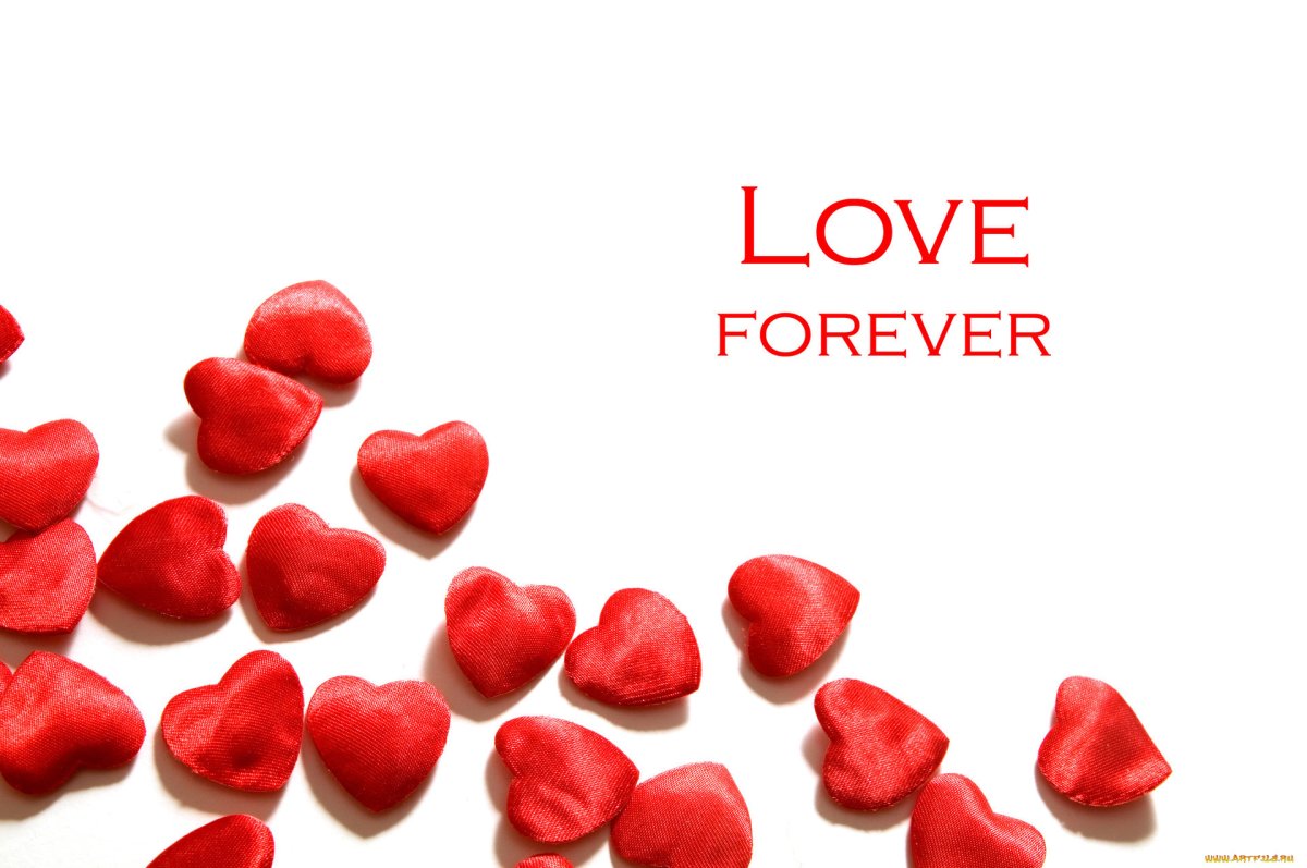 С͇ д͇н͇е͇м͇ р͇о͇ж͇д͇е͇н͇и͇я͇ м͇у͇ж͇ч͇и͇н͇