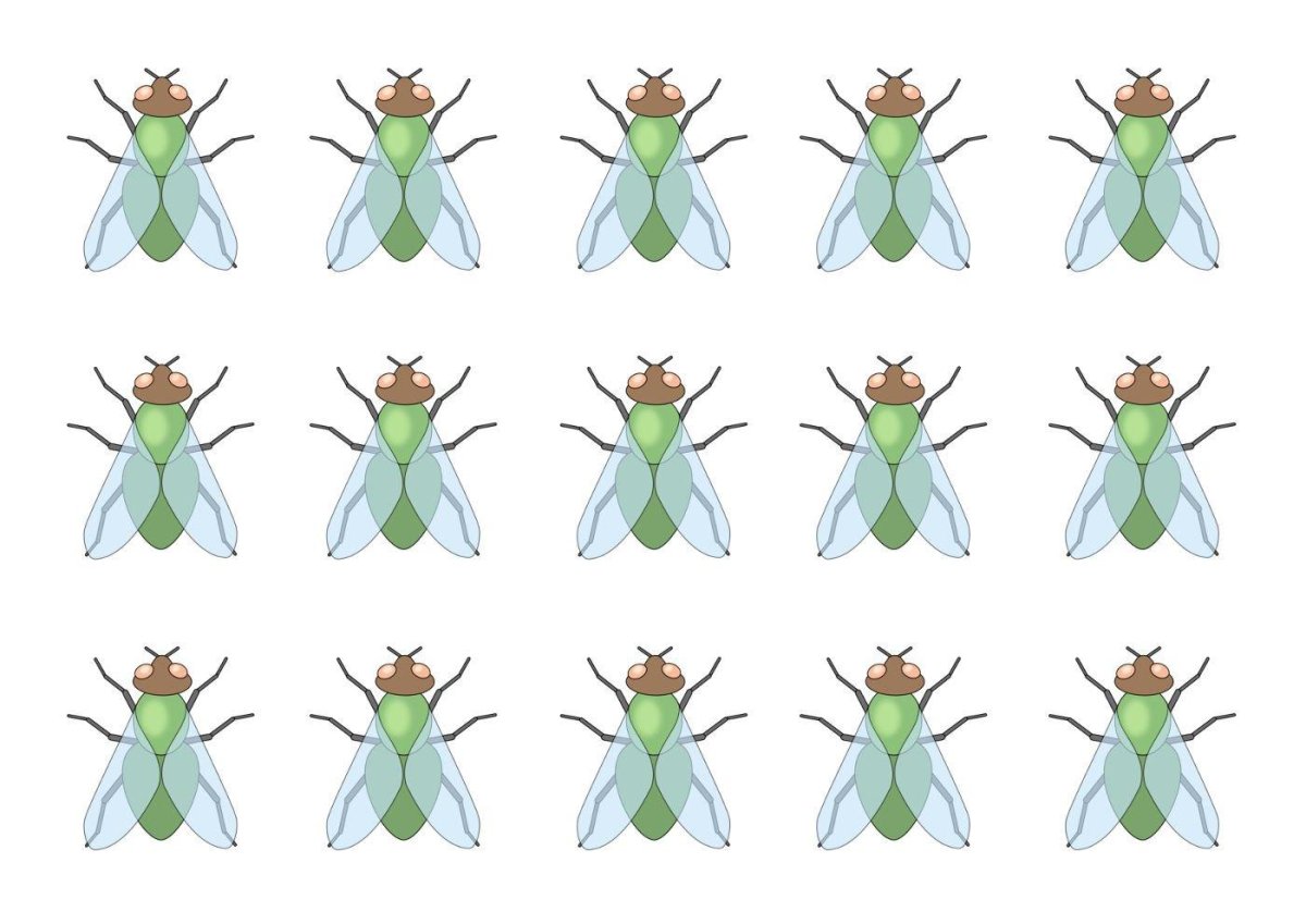 Муха картинка для детей